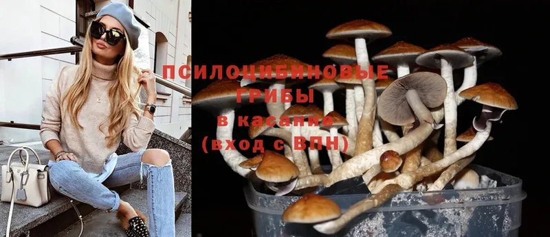 гидра ССЫЛКА  Александровск  Галлюциногенные грибы MAGIC MUSHROOMS 